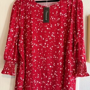 Red and White Blouse